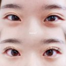 엘르린 | 강릉 속눈썹펌 엘르린 블랙틴트펌 대만족 후기