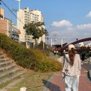 이샘 헤어