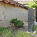 일 신 재 이미지