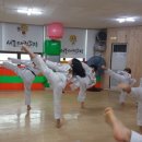 세종태권도 이미지