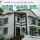 숲속의 펜션 | [춘천 펜션] 강촌 펜션 추천 &#34;숲속의강촌&#34; 솔직후기 ✍️
