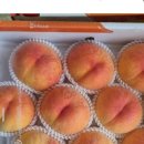 대옥농장 이미지