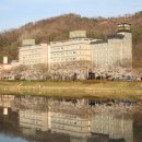 요천제방길 이미지