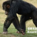 넘버원테라피