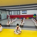 용인대통일태권도 이미지