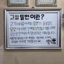 대청밀면 네이버블로그