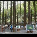 장태산휴양림 이미지