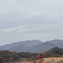 괴산-1 | 괴산 자연드림파크 로움호텔 1관 6살 아이와 찐 후기