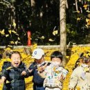 나래영재어린이집 이미지