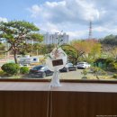 453스튜디오 | 울산 웨딩촬영 이즈오 스튜디오 초대전 후기