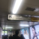 어린공주성형외과의원 이미지