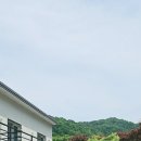 아빠의나무민박 이미지