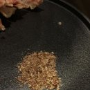 반듯하개 이미지