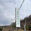 영주시장 | 영주나무시장, 묘목종류, 가격대, 식목일 나무 추천