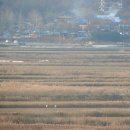 동주 농장 이미지