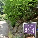 정심사 부근 이미지