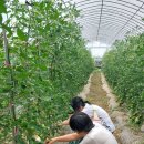 청원사과마을 이미지