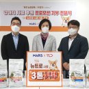 애견 11번가 이미지