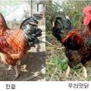 (주)동신축산 - 동대문구 | (주)동신축산