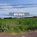 대지 이미지