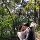 감동컴 | W1.경주 웨딩 스냅 ‘무색한’,‘컴히얼스튜디오’후기💕