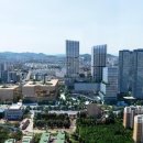 516 이미지