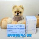 서부라온치과병원 | 멍멍이대학] 강아지 입냄새, 구강, 면역까지 한번에! 라온이가 선택한 멍멍이대학 포우바이오틱스 덴탈건강