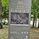 7월4일 관악산둘레길 문희 대장님 이미지
