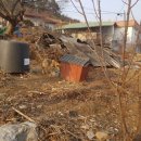 황구건강원 이미지