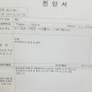 ✔ 사례] 뇌경색(뇌졸중)코드 I65, 진단비 분쟁사례 이미지