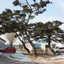 이화초교 정문 이미지