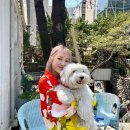지호플라워
