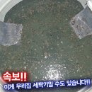 세탁조 액상형 클리너 1+1 이미지