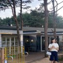 감나무식당 이미지