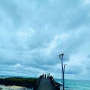 식빵굽는나비 | [제주 동쪽 카페] 델문도 함덕해수욕장의 에메랄드빛 바다를 품은 곳