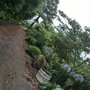 꽃순이농장 이미지