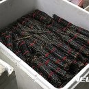 초재유통