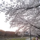 소넛 이미지