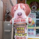 응답하라 몽몽이 네이버블로그