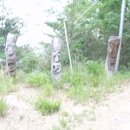 솔방솔방 이미지