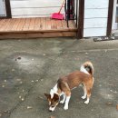 구름포해변캠핑장 이미지