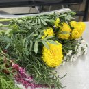 과일손질의달인 이미지