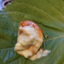 신림로68길 | 신림 곱창 맛집 곱창왕 꾸울꾸울 야채곱창 알곱창 리얼후기