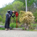 강변하얀집민박 이미지