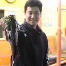 남용호좌대 이미지