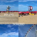 미도파횟집 | 1박 2일 속초 여행 🩵 1일차