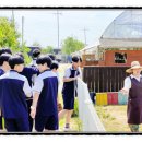 황등1농장 이미지