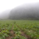 정명수펜션 이미지