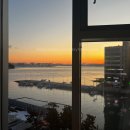 인터내셔널오션파크나인 이미지