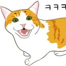 마노아워터캠핑장 이미지